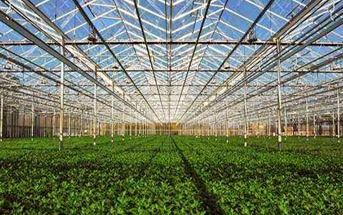 農棚型溫室與太陽能光電